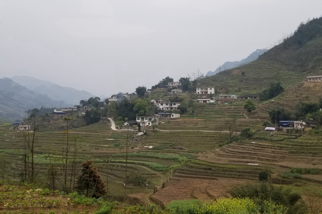 高羅村 高羅村