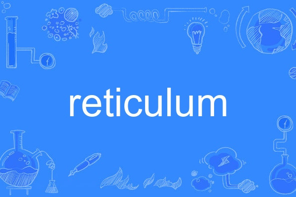 reticulum reticulum