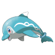 波普海豚 波普海豚
