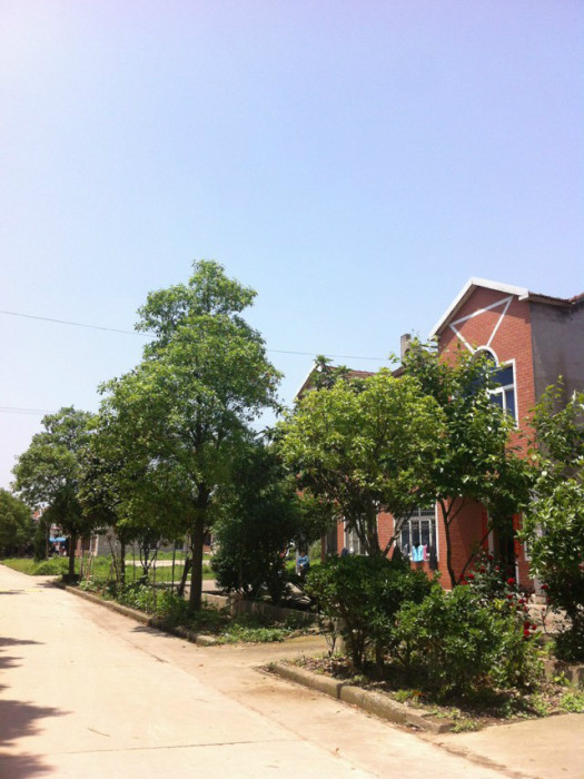 高垴村 高垴村