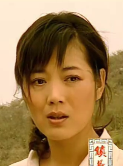 鎮長(2007年潘粵明主演的電視劇) 鎮長(2007年潘粵明主演的電視劇)