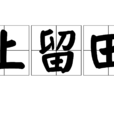 上留田 上留田