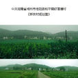 蝦落塘 蝦落塘