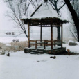 長亭雪 長亭雪