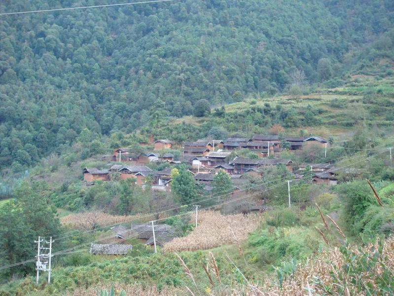 忠義九村 忠義九村