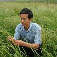 李造哲 李造哲