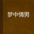 夢中情男 夢中情男