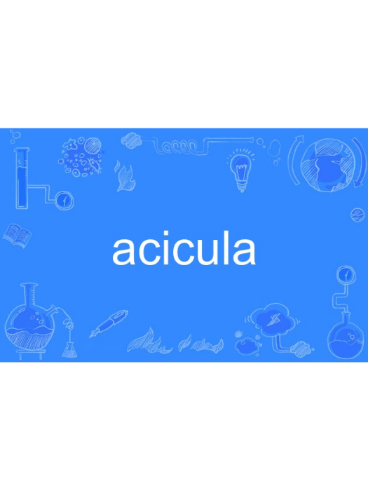 acicula acicula