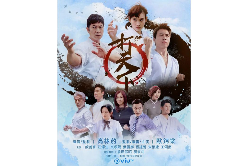 打天下(高林豹執導的電視劇) 打天下(高林豹執導的電視劇)