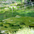 水源涵養 水源涵養