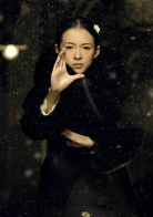 一代宗師(2013年王家衛執導電影)