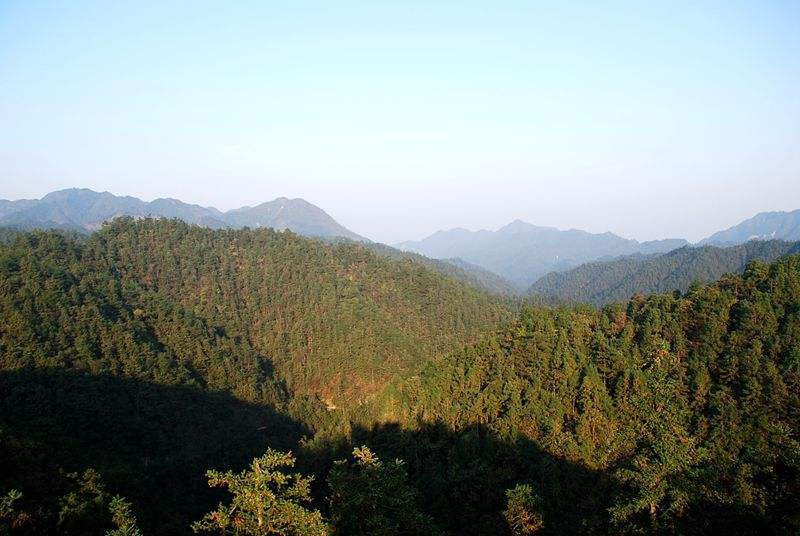 半林林場 半林林場