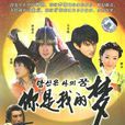 你是我的夢(中國2008年黃偉傑導演電視劇) 你是我的夢(中國2008年黃偉傑導演電視劇)
