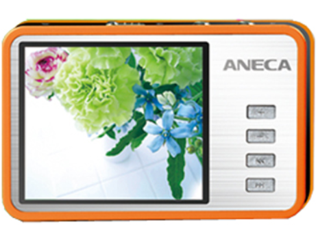 安耐克SF-890(512MB) 安耐克SF-890(512MB)