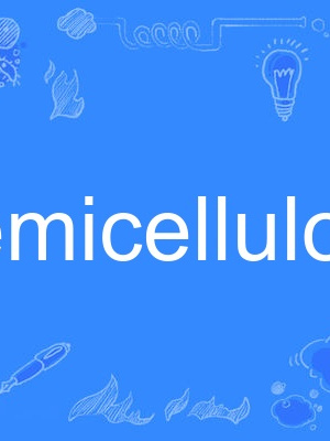 hemicellulose hemicellulose