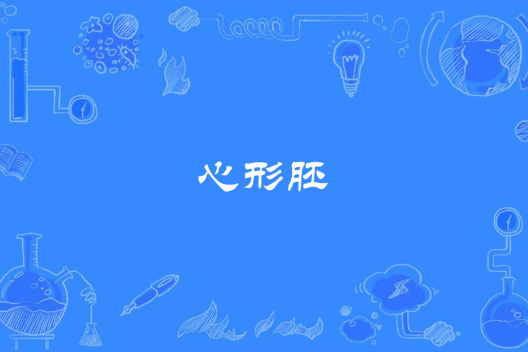 心形胚 心形胚