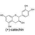 pycnogenol pycnogenol