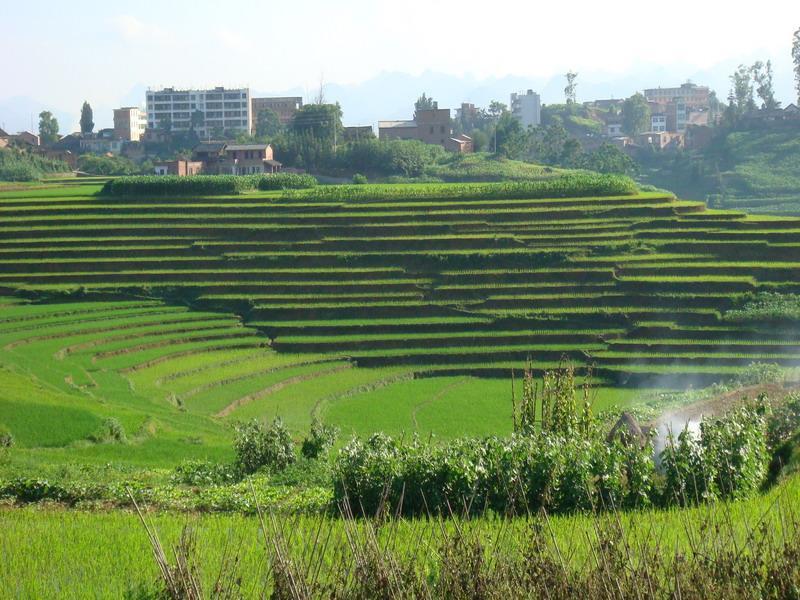 松毛寨村 松毛寨村