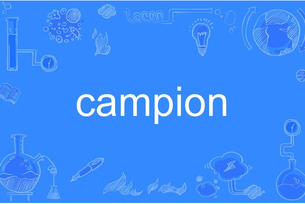 campion campion