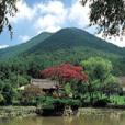 雲林山房 雲林山房