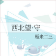 西北望·守