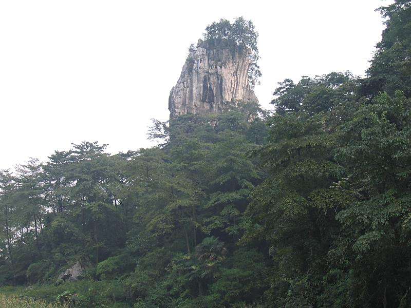 龍茶村(雲南省昭通鹽津縣牛寨鄉下轄村)