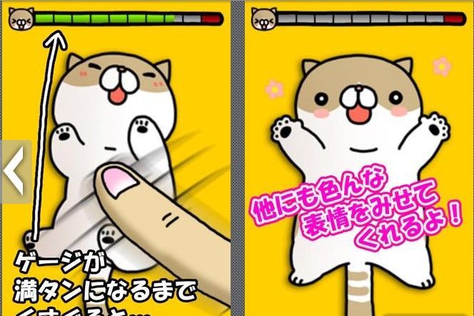 撫摸貓貓 撫摸貓貓