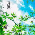 夏至(夏至節)