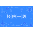 輕傷一級 輕傷一級