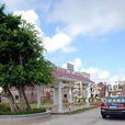 沙洲村(廣東省吳川市振文鎮沙洲村) 沙洲村(廣東省吳川市振文鎮沙洲村)