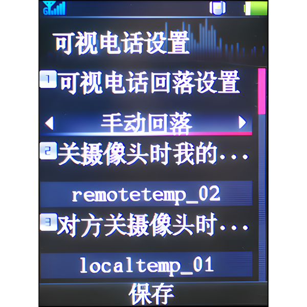 中興V300