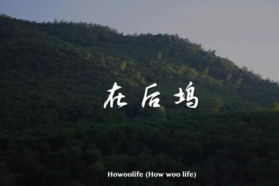 在後塢 在後塢