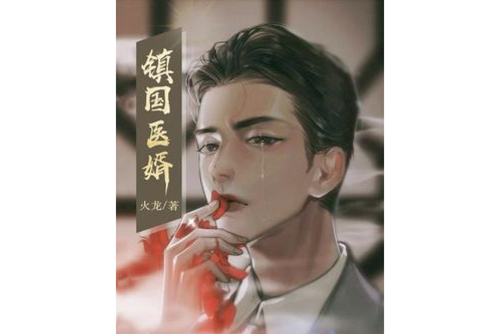 鎮國醫婿