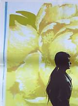 王曉棠 王曉棠