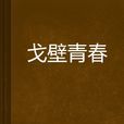 戈壁青春(小說) 戈壁青春(小說)