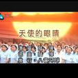 天使的眼睛(歌曲) 天使的眼睛(歌曲)