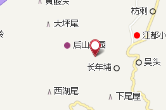 牛皮石 牛皮石