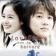 哈佛愛情故事(Love Story（韓國2004年李長秀導演電視劇）)