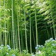 撈村鄉 撈村鄉