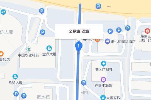 金鼎路(海口市金鼎路) 金鼎路(海口市金鼎路)