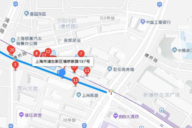 塘橋新路187號 塘橋新路187號