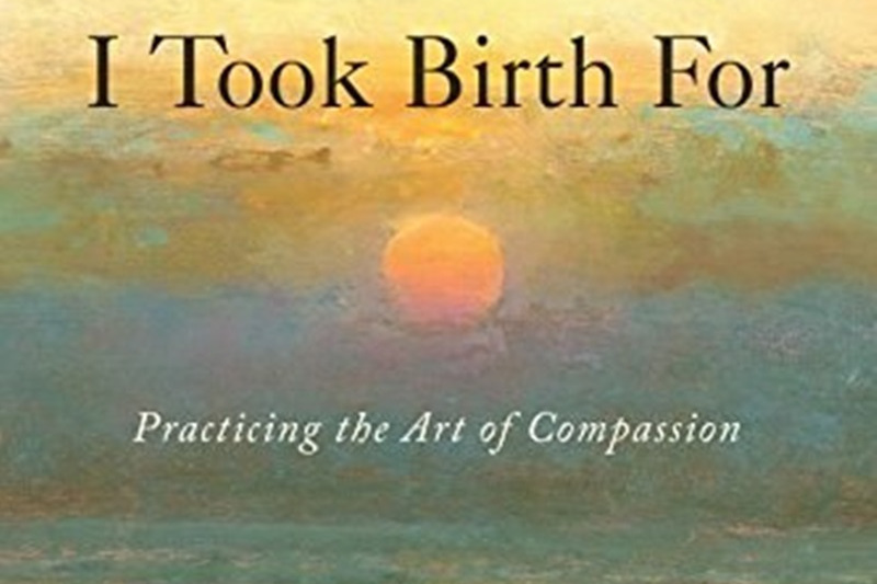 Healing I Took Birth for: Practicing the Art of Compassion Healing I Took Birth for: Practicing the Art of Compassion