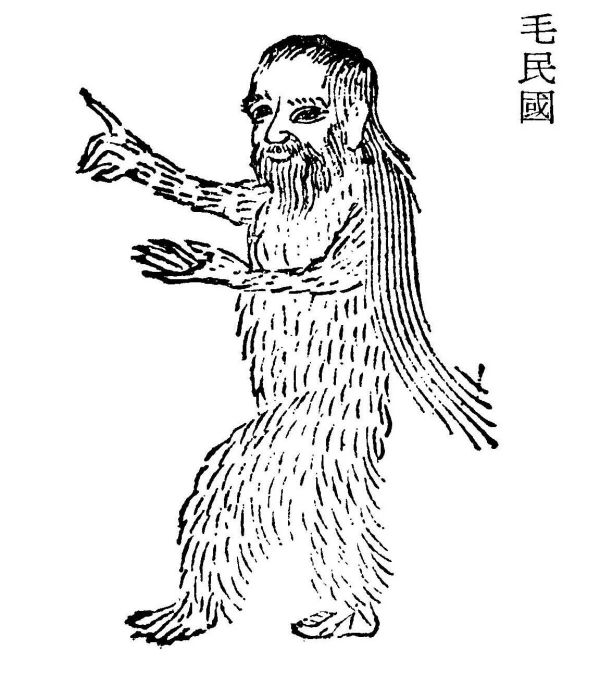 毛民國(《山海經》中的虛構國家) 毛民國(《山海經》中的虛構國家)