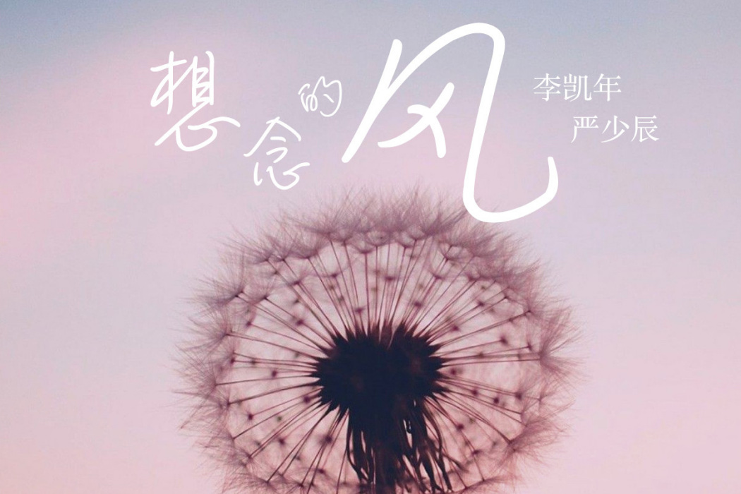 想念的風 想念的風