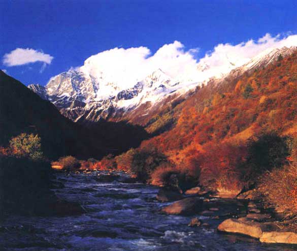清涼峰自然保護區