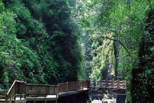 臥龍溝 臥龍溝