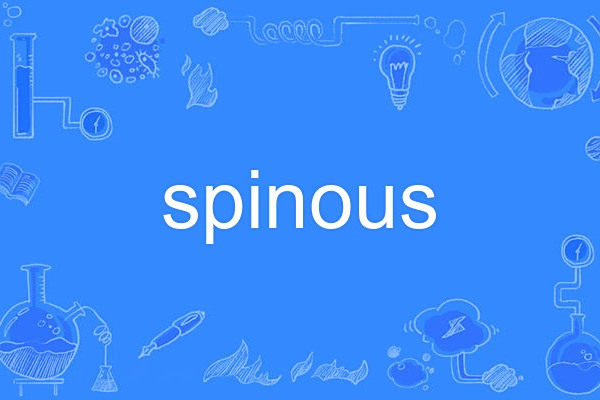 spinous spinous