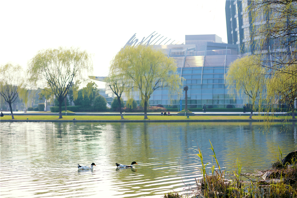 東華大學研究生院