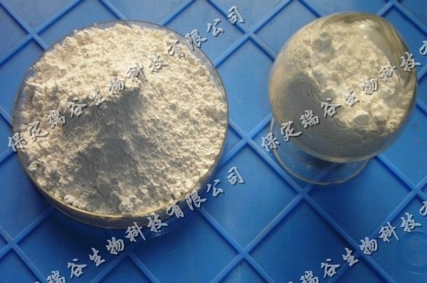 膠質芽孢桿菌粉