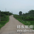 上月村(湖南省祁東縣河洲鎮上月村) 上月村(湖南省祁東縣河洲鎮上月村)